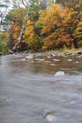 Rainy day river in autumn forest