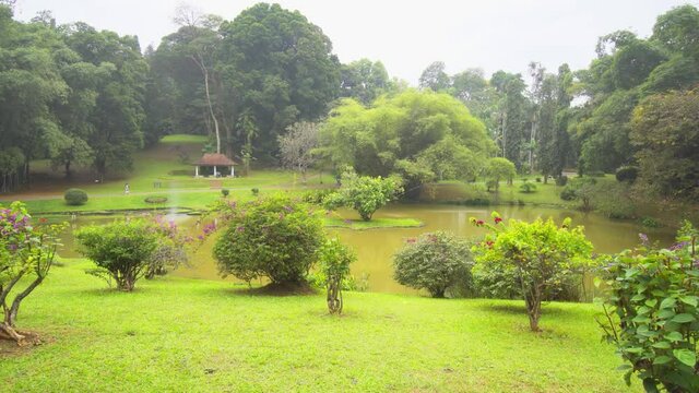 In Royal Botanic Gardens. Sri Lanka
