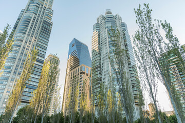 Nature in the city: trees and modern buildings in Puerto Madero neighborhood
