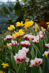 Memories and Travel Beauty