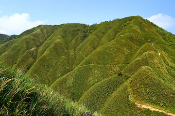 Famous Matcha (Green Tea) Mountain, Shengmu Hiking Trail (Marian Hiking Trail), Jiaoxi, Yilan,...