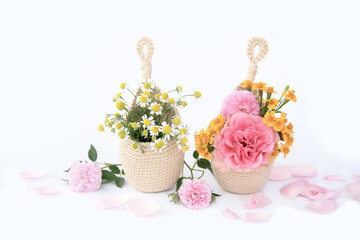 Beautiful color of flower in crochet hanging planter isolated on white background.