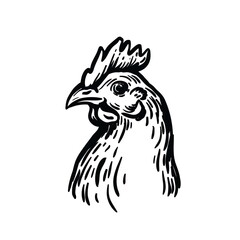 chicken breeding. animal husbandry. livestock. vector sketch on a white background