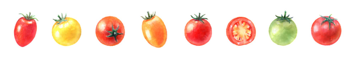 カラフルなミニトマトの水彩イラスト