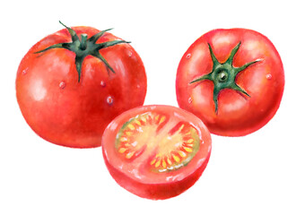 トマトの水彩イラスト