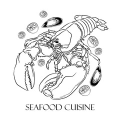 Lobester vector illustration logo in hand drawn style