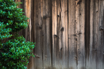 Fototapeta premium Wooden texture pattern for background. Backdrop for design.