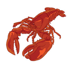 Lobster logo vector illustration