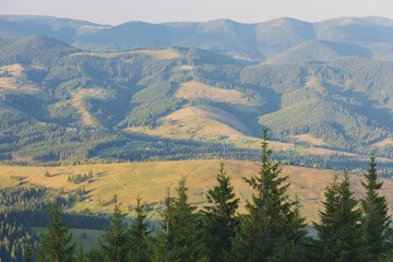 Beautiful summer landscapes of the Ukrainian Carpathian mountains
