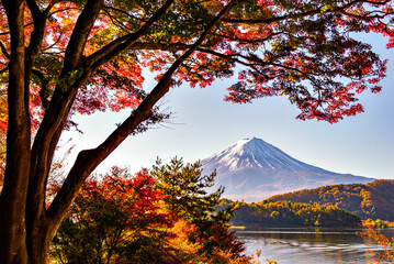 Naklejka na ściany i meble Fuji Mountain and Colourful Maple Trees in Autumn at Kawaguchiko Lake, Japan