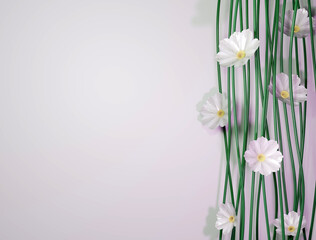 Composition of white cosmos flowers and stems over white backgroud and text space. 3D illustration.