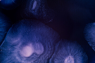 Abstract ink texture. Acrylic modern art. Inkscape