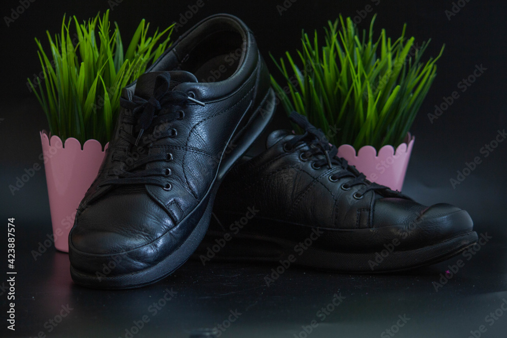 Wall mural Black mens shoes next to green grass on black background 