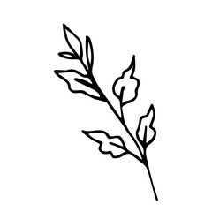 Simple hand-drawn vector drawing in black outline. Branch with leaves isolated on white background. Nature, spring-summer season.