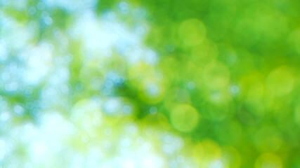 Obraz premium 3d green nature bokeh with blue sky in background