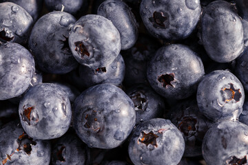 Close-up of blueberries 