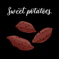 Unpeeled sweet potato tubers. Carbohydrates for healthy nutrition.