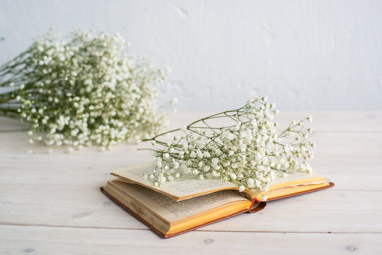 Herbs and gipsofila on wooden table with book.