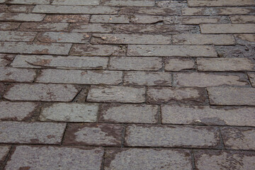 Cracked rectangular tiles on the sidewalk.