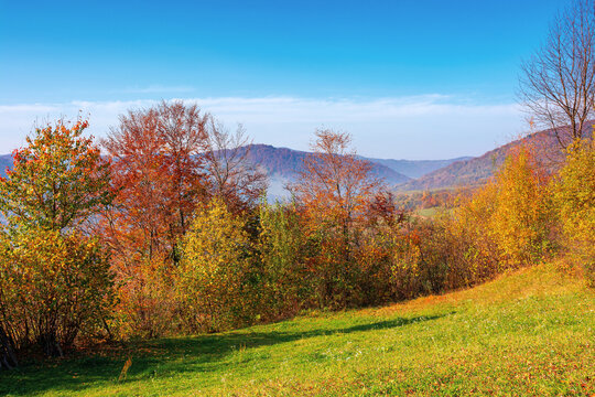 mountainous rural scenery in fall season. trees the hill in colorful foliage. village in the distant valley. sunny day with bright blue sky. traditional carpathian countryside of ukraine