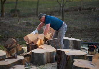 Strong woodman splitting logs