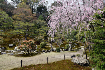 旧竹林院　庭園　滋賀県大津市坂本