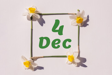 December 4th. Day of 4 month, calendar date. Frame from flowers of a narcissus on a light background, pattern. View from above. Summer month, day of the year concept
