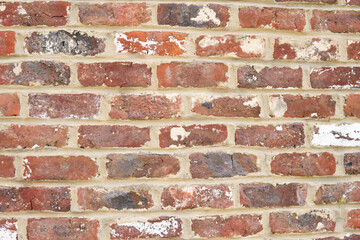 brick wall on one of the houses