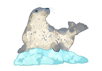 優しいタッチのゴマフアザラシのイラスト © Hirose