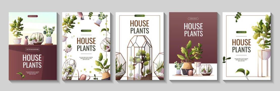 Set of flyers for houseplants store, greenhouse, florarium, home garden, gardening, plant lover. Vector illustration for poster, banner, flyer, advertising, commercial, promo. 