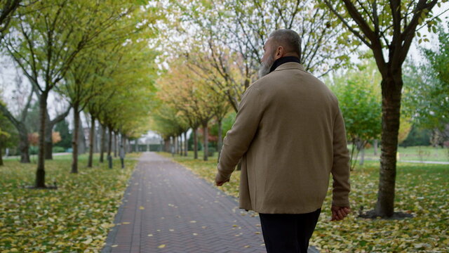 Back view man walking across beautiful park in autumn. Rear view of senior.