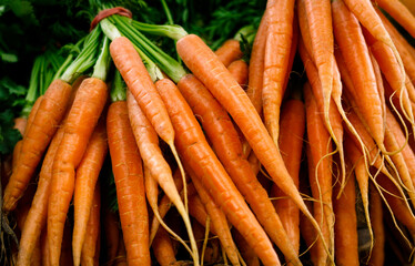 Fresh baby carrots at the local market