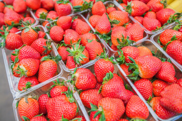 Fresh strawberries in baskets