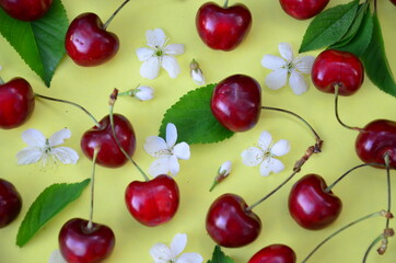Colourful bright pattern with ripe cherry, flowers and leaf. Top view. fresh organic berries macro fruit background