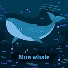 Blue whale. Sea animals. Editable vector illustration