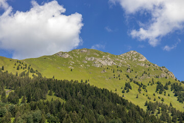 Fototapeta na wymiar Landscape of the Natural Park of Paneveggio Pale di San Martino in Tonadico, Trentino, Italy