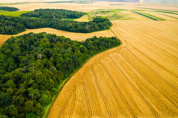 Breathtaking top view of agricultural area and cultivated fields in sunny day.