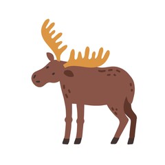 Canadian elk with horns. Scandinavian horny moose. Nordic wild animal. Colored flat vector illustration of Swedish fauna isolated on white background