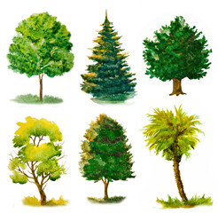 set of various watercolor trees isolated on white.