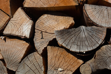 La tranche de buches de hêtre au soleil avec une buche comportant le chiffre un sur sa tranche.