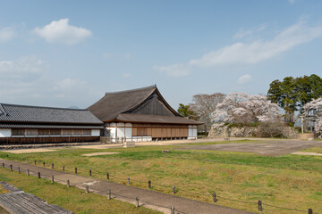 View of Sasayama-jo castle in Tamba-Sasayama city, Hyogo, Japan at full blooming season of cherry blossoms