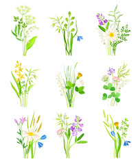 Naklejka na ściany i meble Floral Composition with Wildflowers and Meadow Plants Vector Set