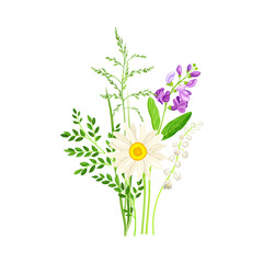 Floral Composition with Wildflowers and Meadow Plants Vector Illustration