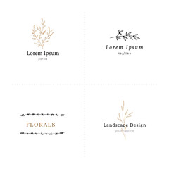 Set of floral hand drawn logo templates. Flowers and leaves in minimalist style, vector illustrations.
