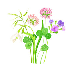 Wildflowers Composition with Meadow Plants and Flora Closeup View Vector Illustration