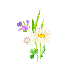 Wildflowers Composition with Meadow Plants and Flora Closeup View Vector Illustration