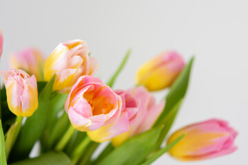 Beautiful spring bouquet of pink tulips close up, holiday flower gift