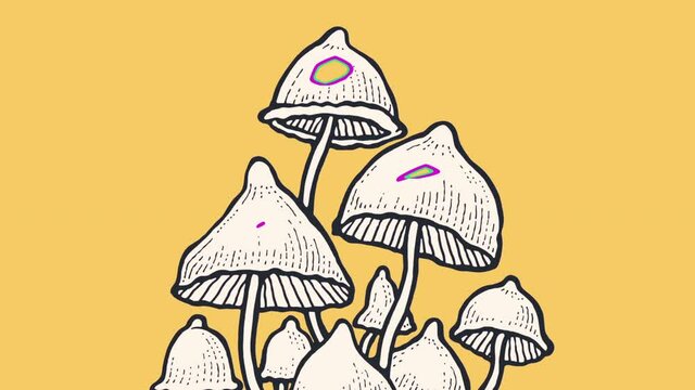 Psilocybin hallucinogenic magic mushrooms. Hand drawn design element. Animated drawing, motion graphics	