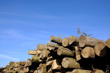 Close up of chopped wood outdoors