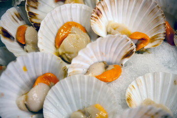 A bunch of scallops for sale at a street market